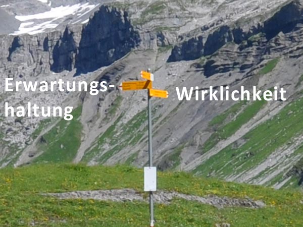 erwartungshaltung-wirklichkeit